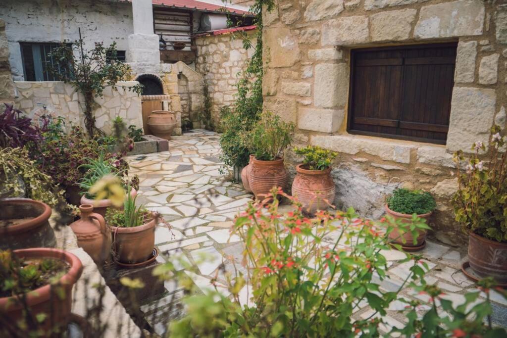 הוילה Vasiliki  The Royal Stonehouse : Sophia מראה חיצוני תמונה
